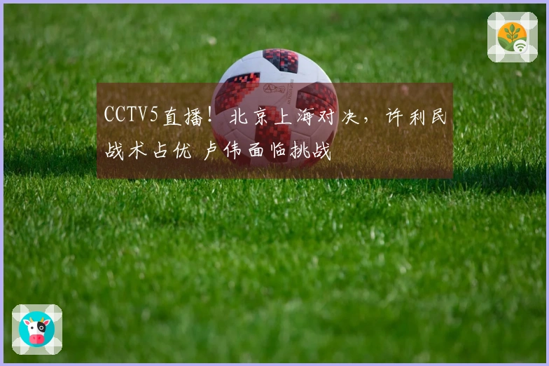 CCTV5直播！北京上海对决，许利民战术占优 卢伟面临挑战